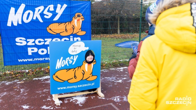 Fot. Robert Stachnik [Radio Szczecin] 200 uczniów wskoczyło do lodowatej wody. Dziś Światowy Dzień Morsa [WIDEO, ZDJĘCIA]