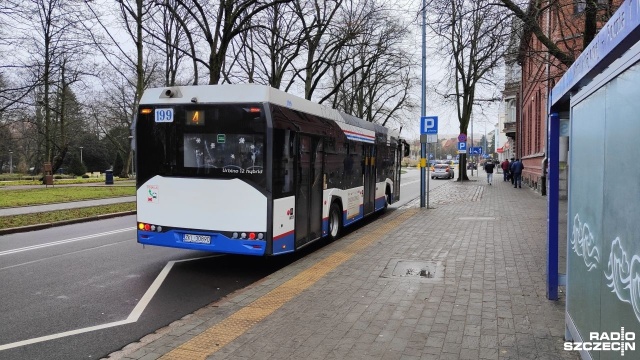 Kołobrzeg wprowadzi darmowe przejazdy miejskimi autobusami. Będą mogli z nich skorzystać mieszkańcy miasta.