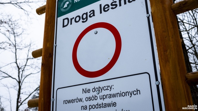 Do 5000 złotych grzywny grozi kierowcom quadów i motocykli za naruszenie zakazu wjazdu do lasu. Zdaniem Mateusza Bzdęgi, z Nadleśnictwa Kliniska, kwota ta niestety nie odstrasza amatorów leśnych crossów.