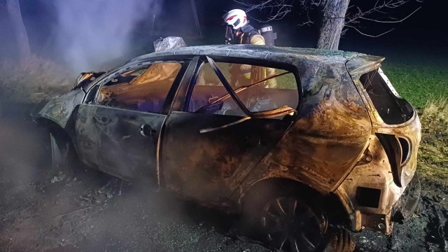 Niebezpieczne zdarzenia na drodze wojewódzkiej nr 163 - samochód osobowy uderzył w sarnę, po czym stanął w ogniu.