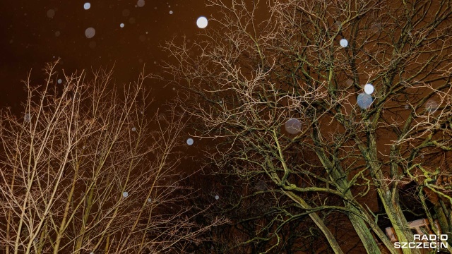 Instytut Meteorologii i Gospodarki Wodnej ostrzega przed porywistym wiatrem. Silnie wiać będzie w powiatach: białogardzkim, sławieńskim, gryfickim, kołobrzeskim i kamieńskim.