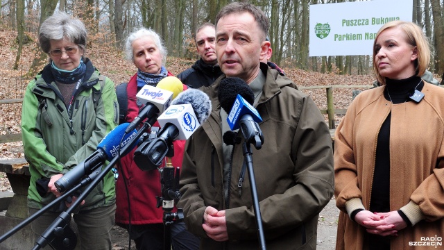 Drzewa starsze niż osiemdziesięcioletnie w Puszczy Bukowej nie będą wycinane. To efekt porozumienia leśników ze stroną społeczną i przyrodnikami - ogłosił dyrektor Regionalnej Dyrekcji Lasów Państwowych w Szczecinie Jarosław Staniszewski.