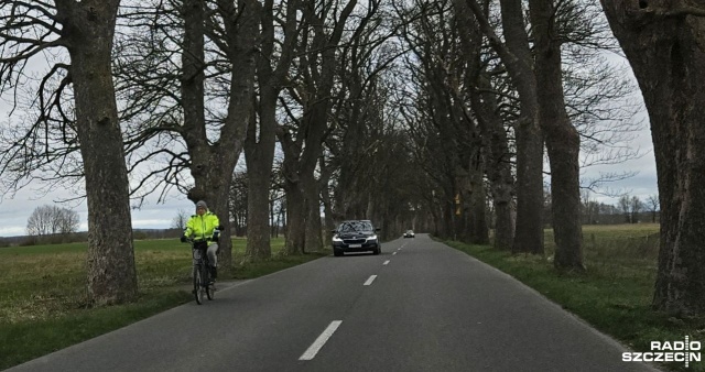 Opóźnia się budowa ścieżki rowerowej Unin - Wolin. Inwestycja ma powstać wzdłuż drogi, przy której rośnie kilkaset drzew.