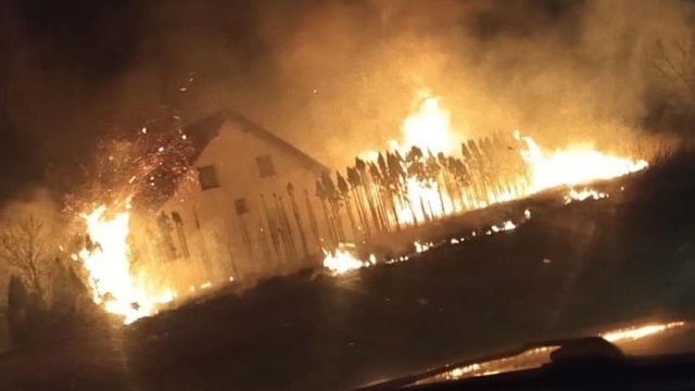 Groźnie wyglądający pożar w Kliniskach Wielkich. Po godzinie trzeciej w nocy zapaliły się trawy i żywopłot.