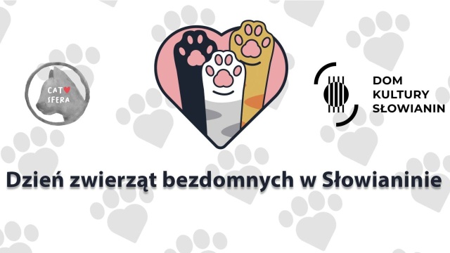Coś dla miłośników psów i kotów. Zwłaszcza tych, którzy adoptowali albo dopiero chcieliby przygarnąć czworonoga.
