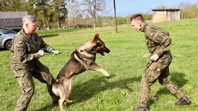Zachodniopomorscy Terytorialsi przygotowują się do utworzenia grupy K9. Wyszkolone psy razem z opiekunami będą wspierały żołnierzy w akcjach poszukiwawczo-ratowniczych.