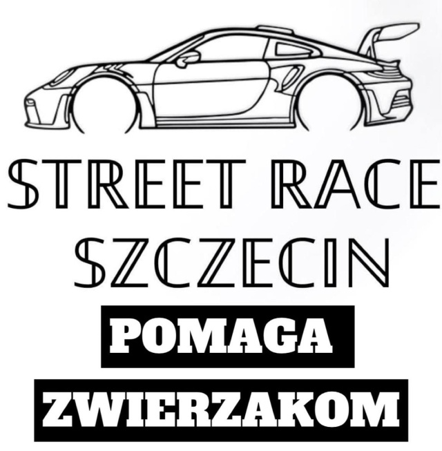 Wspomóż potrzebujące zwierzaki i przejedź się sportowym samochodem - grupa miłośników czterech kółek ze Szczecina organizuje charytatywny zlot motoryzacyjny pod nazwą Uratuj Psy i Koty od biedoty.