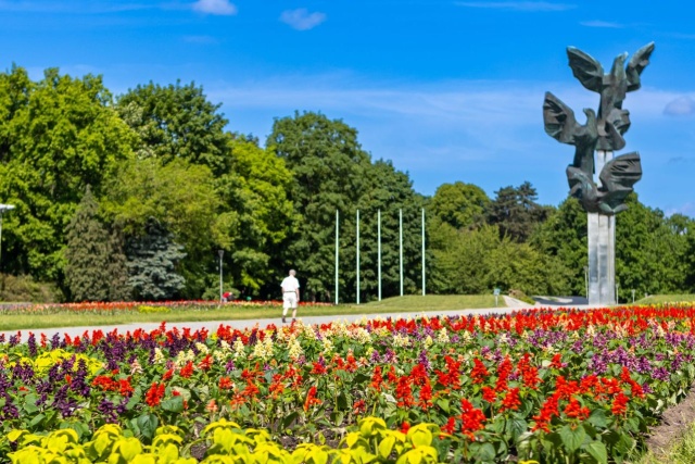 Cały Szczecin w kwiatach - na placach i skwerach posadzono ponad 25 tysięcy kolorowych roślin.