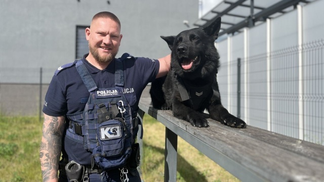 Czworonożny policjant odnalazł poszukiwaną kobietę w Jarosławcu.