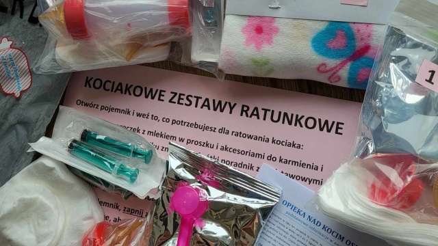 Termofory, mleko, akcesoria do karmienia i krótki poradnik. Towarzystwo Opieki nad Zwierzętami w Szczecinie przygotowało zestawy ratunkowe dla kociąt.