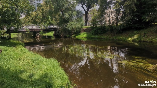 Zmieszana ze ściekami komunalnymi deszczówka trafiła do Iny na jej odcinku ze Stargardu w kierunku Lubowa i Klępina. To efekt intensywnych ulew, których skutkiem było samoczynnego otwarcia kanałów burzowych.