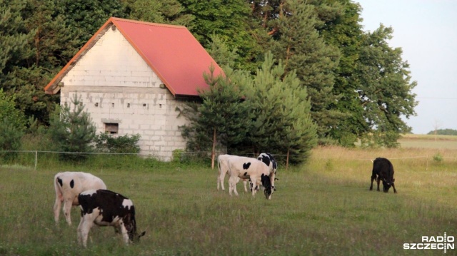 Proces wyludniania wsi i masowe przeprowadzki do dużych miast: czy Polska stoi przed podobnym problemem, co inne kraje europejskie Na ten temat dyskutowali goście audycji Radio Szczecin na Wieczór.