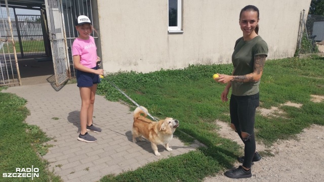 Kudłata Ferajna to nowa nazwa schroniska dla zwierząt w podstargardzkim Kiczarowie, którą ogłosiło Towarzystwo Opieki nad Zwierzętami.