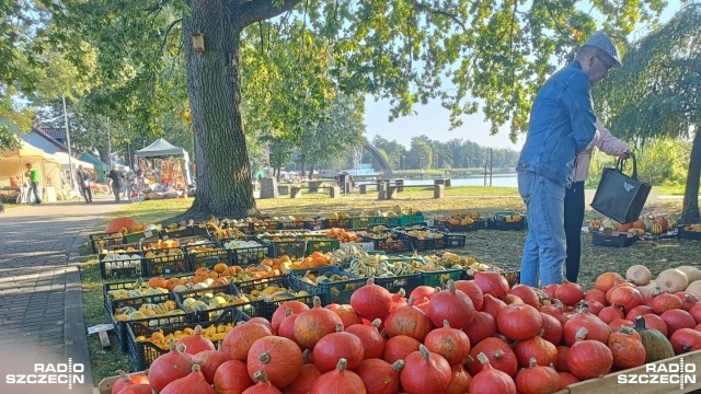 Potrawy z dyni w różnej postaci - zupa dyniowa i konfitury, a także inne specjały prosto z wiejskiej kuchni zawładnęły Morzyczynem i Zieleniewem podczas 22. edycji Jarmarku Wsi Zachodniopomorskiej Złota Dynia.