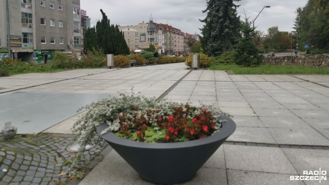 Kradną kwiaty, dewastują rabatki... Są szczególnie aktywni w centrum i śródmieściu, nie mijają też parków. Giną i donice z kwiatami, i zasadzone wcześniej krzewy i rośliny. Zieleń ozdobna zniknęła również z placu przy cerkwi prawosławnej.