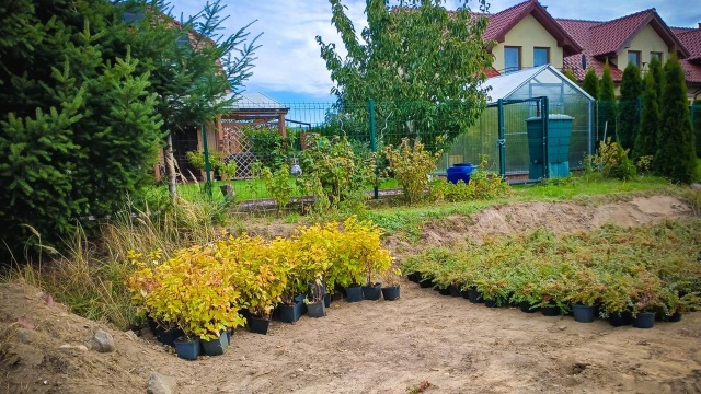 Kończą się prace przy budowie kieszonkowego parku w Stargardzie.