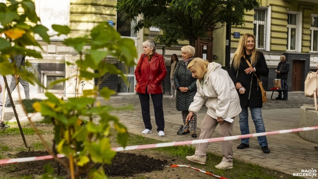 Działamy, bo tu jest sama betonoza - mówią mieszkańcy centrum Szczecina. Ruszyły prace, by teren przy nowej Ścianie Płaczu zazielenił się.