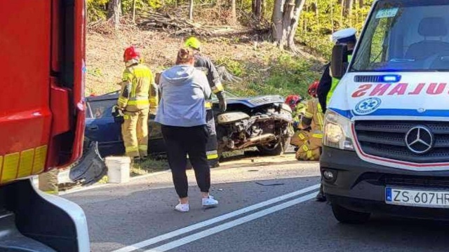 Auto w rowie na drodze krajowej 31 między Widuchową a Krzywinkiem.