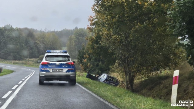 Na drodze wojewódzkiej nr 162 niedaleko Wartkowa samochód wjechał w drzewo.