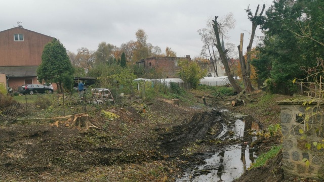 Drzewa wycięte, mieszkańcy zaskoczeni. Chodzi m.in. o topole i jesiony, które rosły nad brzegiem Iny w Stargardzie. Drzewa wycięła firma, która przebudowuje wały przeciwpowodziowe na na zlecenie Wód Polskich.