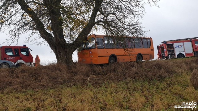 Niedawno pod lupą drogówki, teraz uległ wypadkowi. Chodzi o autobus szkolny, który wjechał w drzewo na drodze między miejscowościami Unimie a Dobieszewo pod Łobzem.