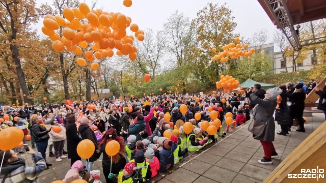 Wyrazili swój sprzeciw wobec różnych form przemocy. Happening w stargardzkim Teatrze Letnim, pod hasłem Dzieciństwo bez przemocy, zorganizowało Powiatowe Centrum Pomocy Rodzinie.