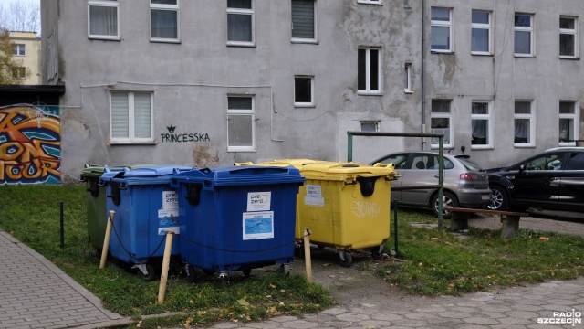 Szczury w mieszkaniu, na klatce i wokół budynku żywe i martwe - z takimi problemami zmagają się mieszkańcy ulicy Budziszyńskiej 7 na szczecińskich Pomorzanach.