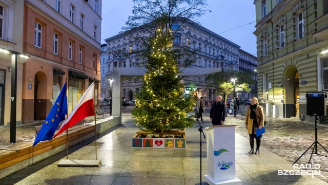 Szczecińskie drzewka rozbłysły świątecznym światłem.