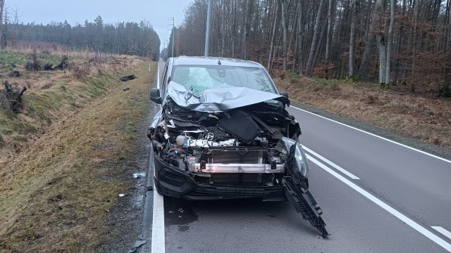 Zderzenie auta z łosiem. To na drodze wojewódzkiej 177, między Czaplinkiem a Mirosławcem.