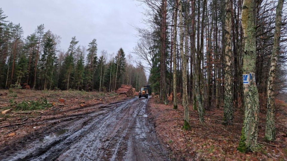 źródło: https://twitter.com/GDDKiA_Szczecin/