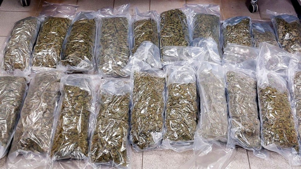 źródło: https://cbsp.policja.pl/cbs