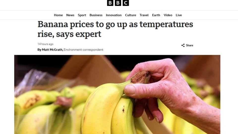 Wzrost temperatury na Ziemi i szerzące się w jego następstwie choroby roślin, mogą zagrozić uprawom bananów - czytamy na portalu bbc.com. źródło: https://www.bbc.com