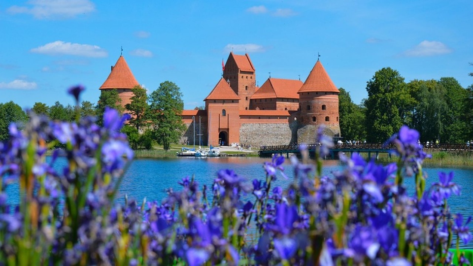 źródło: https://pixabay.com/pl/5068706/DominikaKukulka/CC0 - domena publiczna