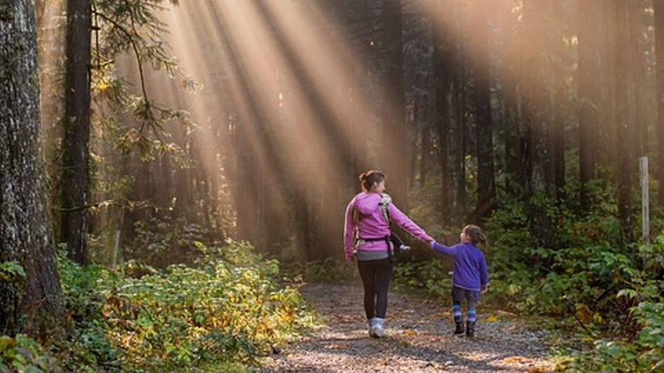 Spacer poprowadzi szczeciński przyrodnik Paweł Madejski. Zbiórka na pętli Głębokie o godz. 10.30. źródło: https://pixabay.com/pl/2297215/https://pixabay.com/pl/users/jameswheeler/CC0 - domena publiczna