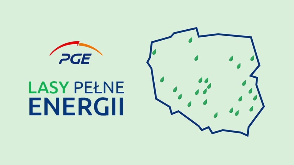 Lasy Pełne Energii. Mat. PGE