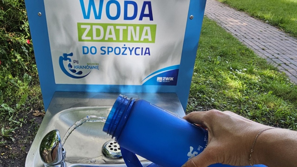Fot. ZWiK
