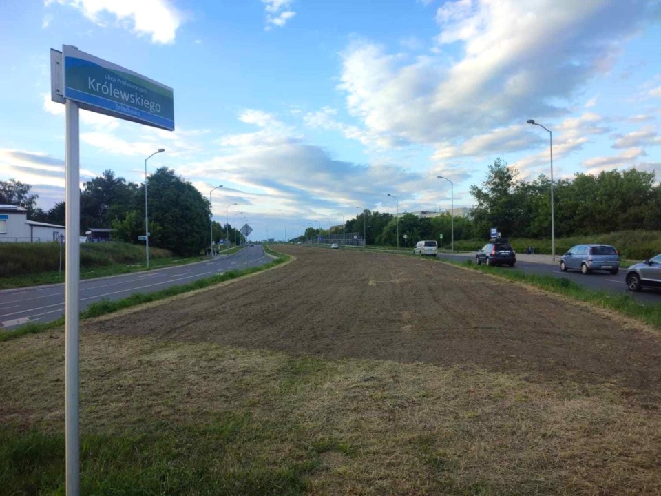 Kwietne łąki w Szczecinie. Powstaje kolejna [ZDJĘCIA]