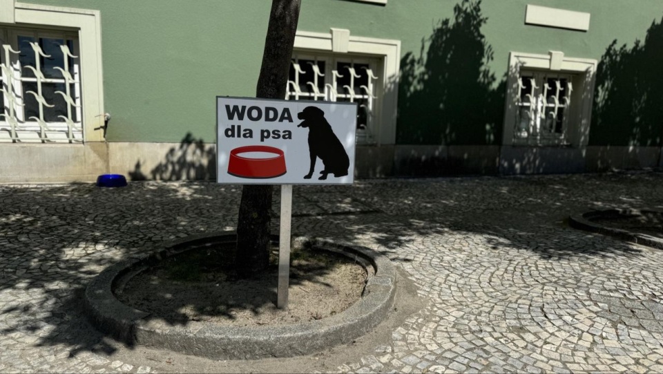 fot. https://wiadomosci.szczecin.eu/artykul/mieszkancy/tu-znajdziesz-swieza-wode-dla-psa