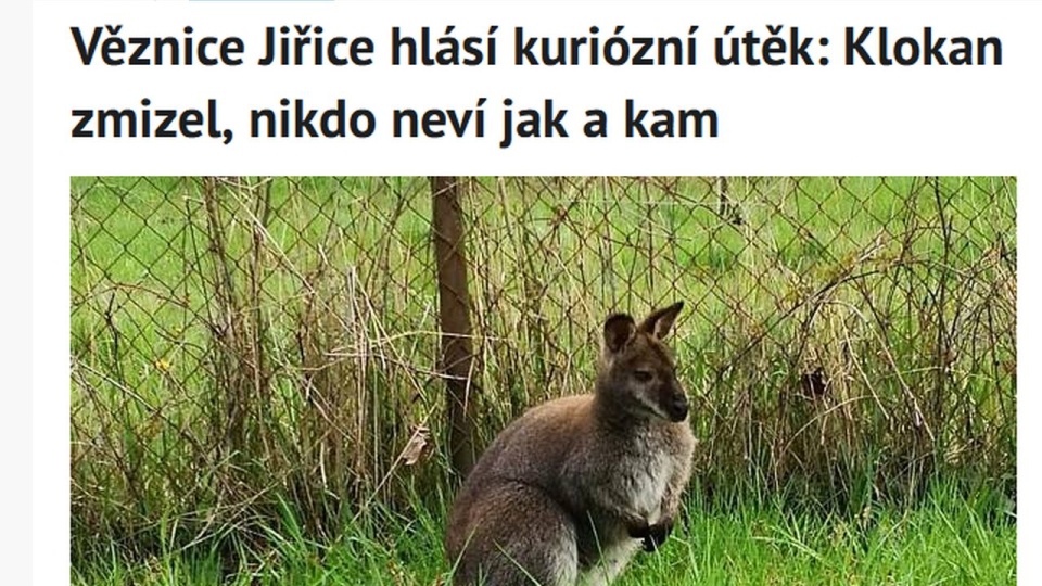 źródło: https://nymbursky.denik.cz