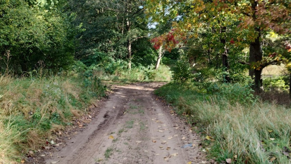 Trwa przetarg na nowe odcinki rowerowej Trasy Pojezierzy Zachodnich