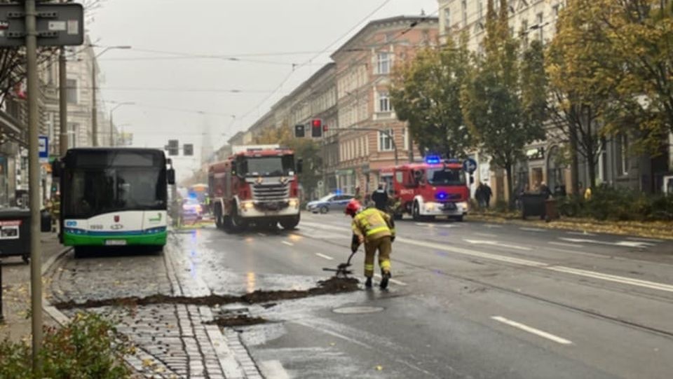 Fot. Maciej Papke [Radio Szczecin]