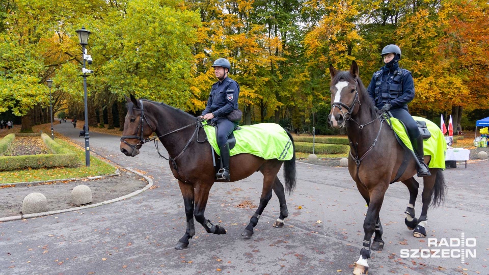 Piesze, z powietrza i konne. Patrole policji gotowe do świątecznej akcji