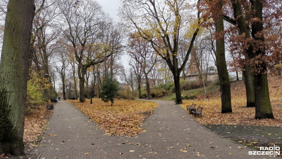 Park Żeromskiego w Stargardzie. Fot. Marek Synowiecki [Radio Szczecin]