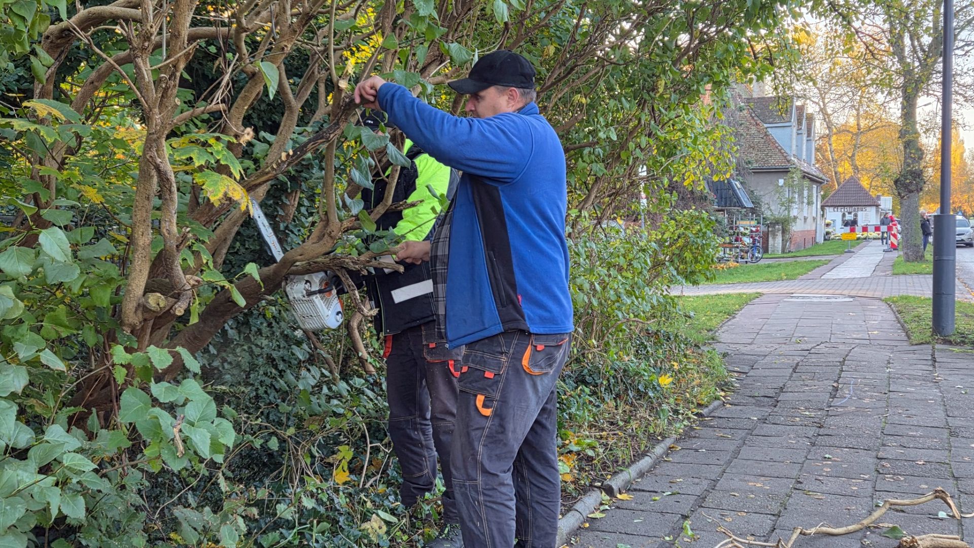 Nowy samochód z podnośnikiem koszowym o wysięgu 25 metrów już wkrótce zasili wyposażenie Zielonej Brygady świnoujskiego urzędu miasta.