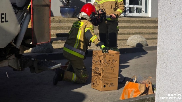 Fot. Rafael Żełobowski [Radio Szczecin] Eksplozja pojemnika po piwie. Poszkodowany został operator śmieciarki [ZDJĘCIA]