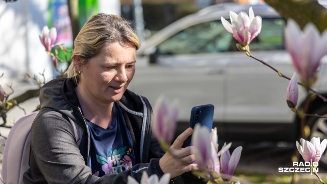 Fot. Robert Stachnik [Radio Szczecin] Radiowa magnolia budzi zachwyt mieszkańców [WIDEO, ZDJĘCIA]