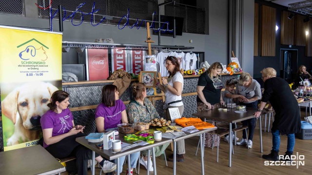 Fot. Robert Stachnik [Radio Szczecin] Wolontariusze podpowiadają, jak pomóc czworonogom [WIDEO, ZDJĘCIA]
