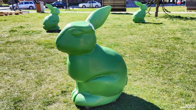Fot. Przemysław Polanin [Radio Szczecin] Zniszczone świąteczne zające. Kamery wskazały winowajców