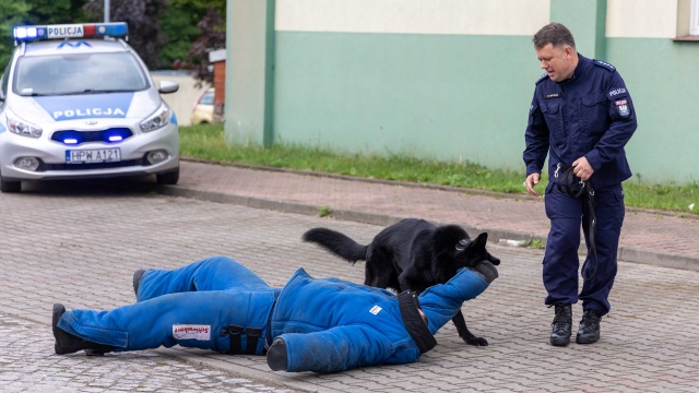 Fot. Robert Stachnik [Radio Szczecin] "Niejeden bandzior będzie pamiętał jego zęby". Czworonożni policjanci na emeryturze [WIDEO, ZDJĘCIA]