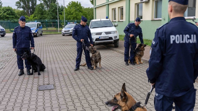 Fot. Robert Stachnik [Radio Szczecin] "Niejeden bandzior będzie pamiętał jego zęby". Czworonożni policjanci na emeryturze [WIDEO, ZDJĘCIA]